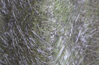 Ellerbeck fibreglass roof work