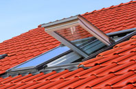 Ellerbeck roof window