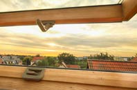 rated Ellerbeck roof window companies